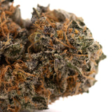 Close-up of Sunset Sherbet indoor THCa flower Gush Mints with orange hairs and frosty trichomes