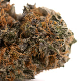 Close-up of Sunset Sherbet indoor THCa flower Gush Mints with orange hairs and frosty trichomes