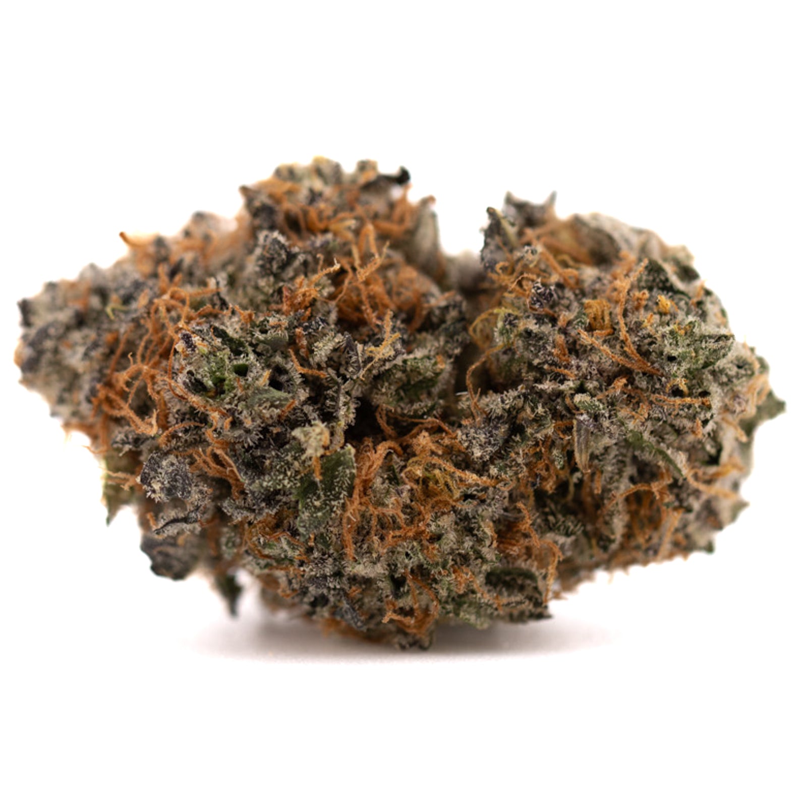 Indoor THCA Flower Sunset Sherbet with dense resinous bud, orange hairs, and trichomes