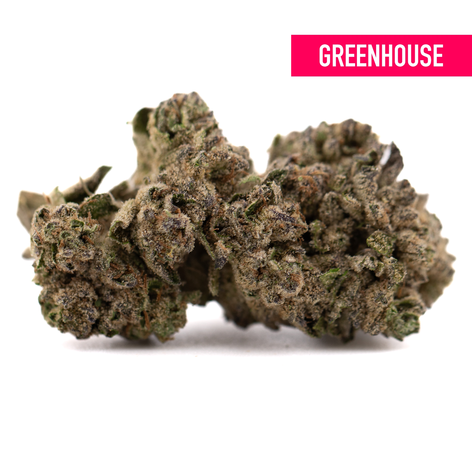 Green After Dark #2 THCa hemp flower bud with white trichomes