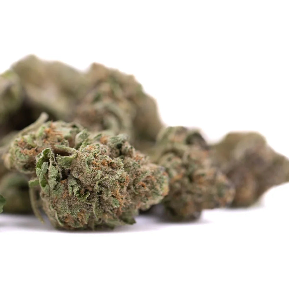 After dark thca greenhouse smalls dense green thca hemp flower bud with trichomes and orange pistils