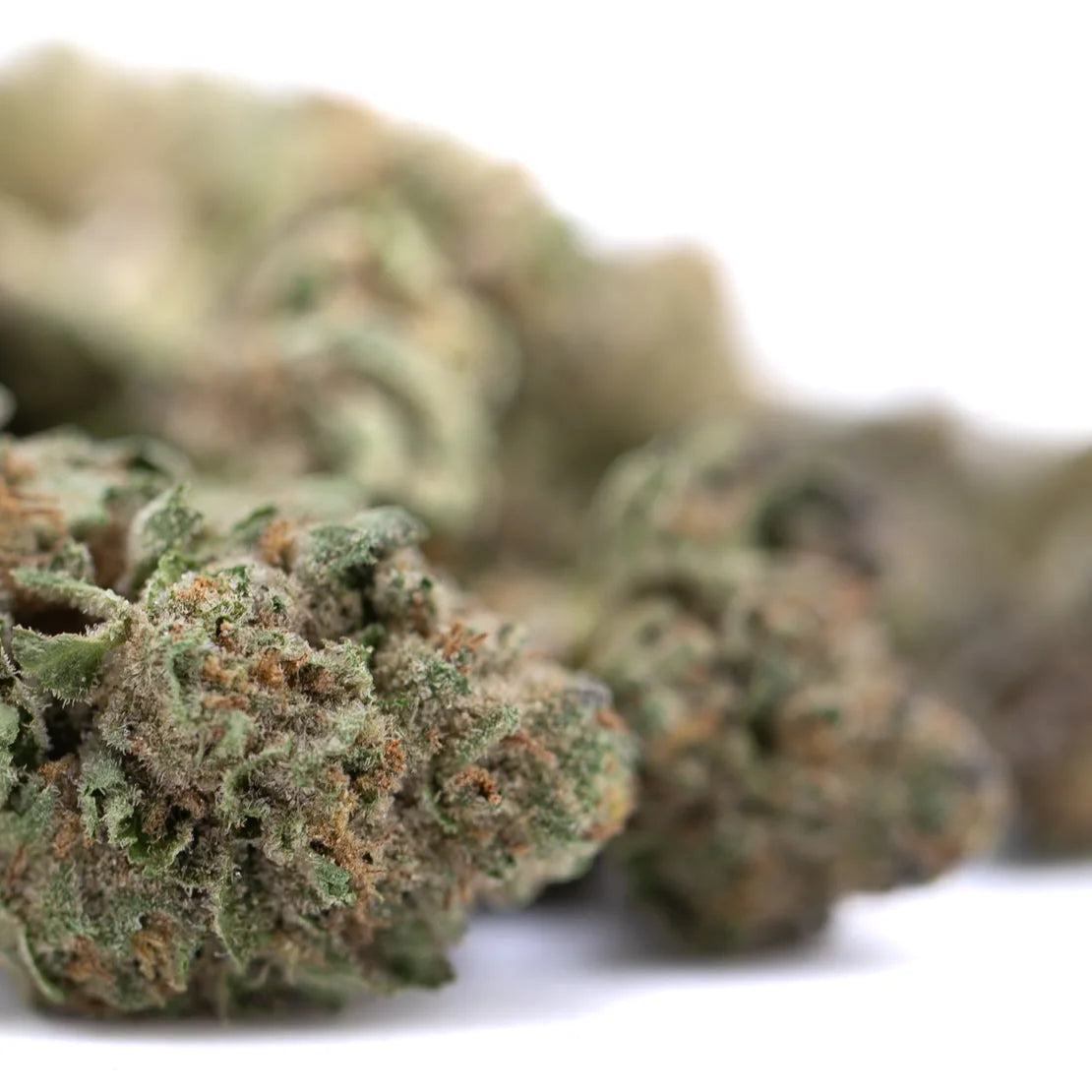 Green and brown thca flower buds with dense frosty texture from after dark greenhouse smalls for kush mints fans