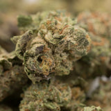 Close-up of dried dark THCa hemp flower with trichomes and orange hairs in greenhouse product