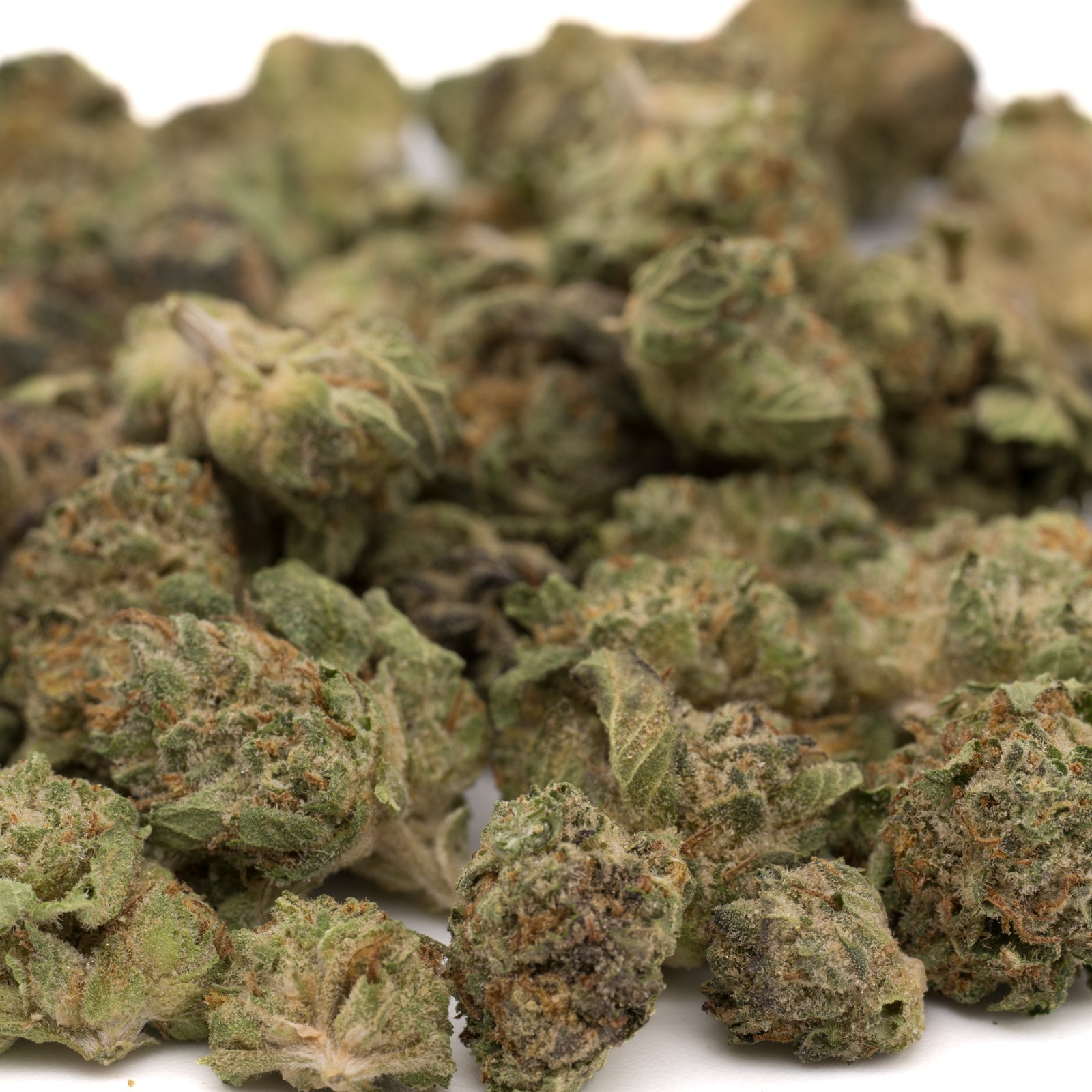 Dried cannabis flower buds from After Dark THCa Hemp Flower Greenhouse Wholesale Smalls