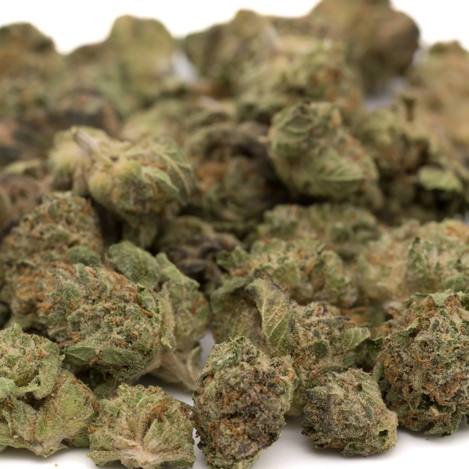 Dried cannabis flower buds from After Dark THCa Hemp Flower Greenhouse Wholesale Smalls