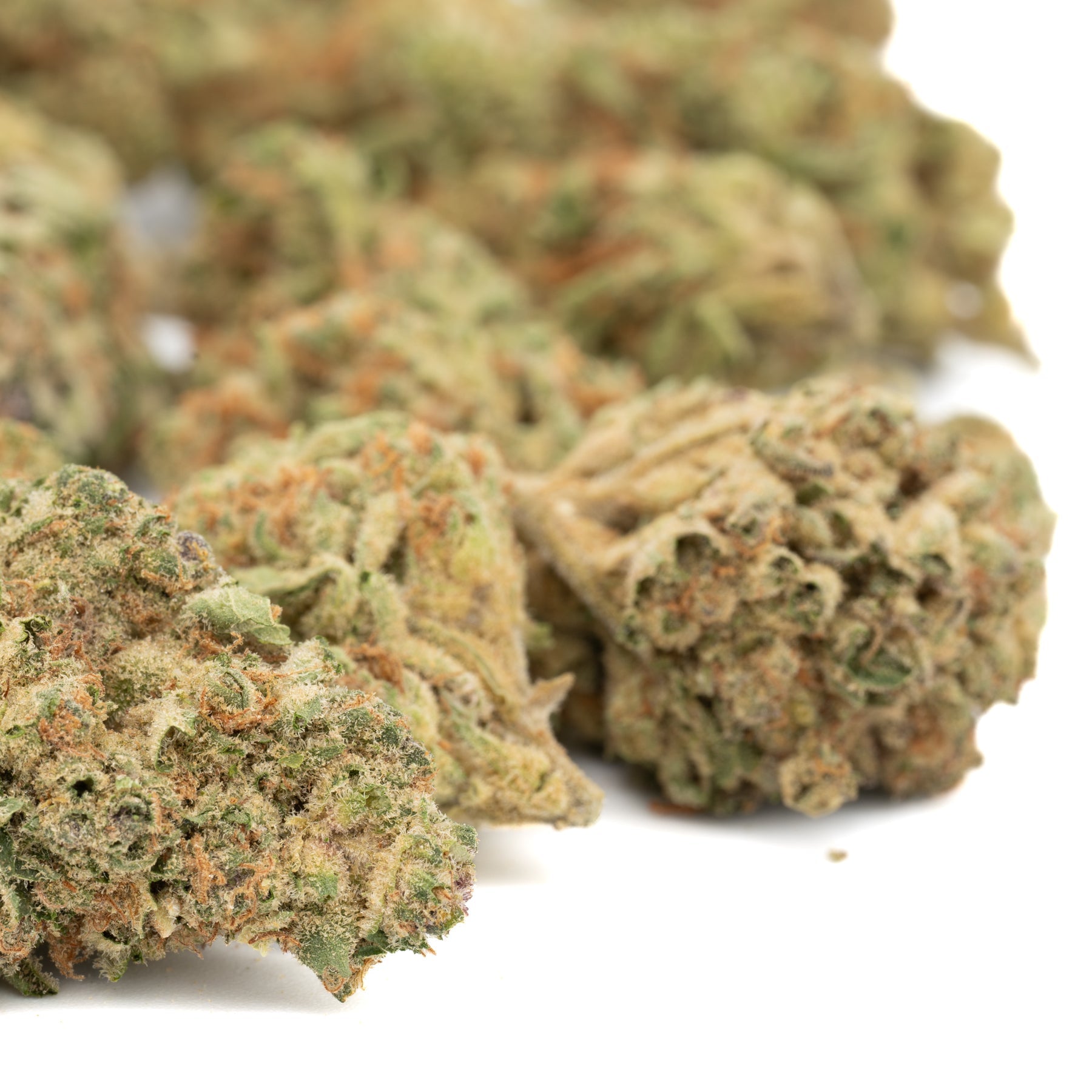 Agent Orange THCa Hemp Flower Greenhouse - Plants