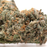A dense resinous alaskan huckleberry diesel indoor thca flower bud with green orange hues and white trichomes