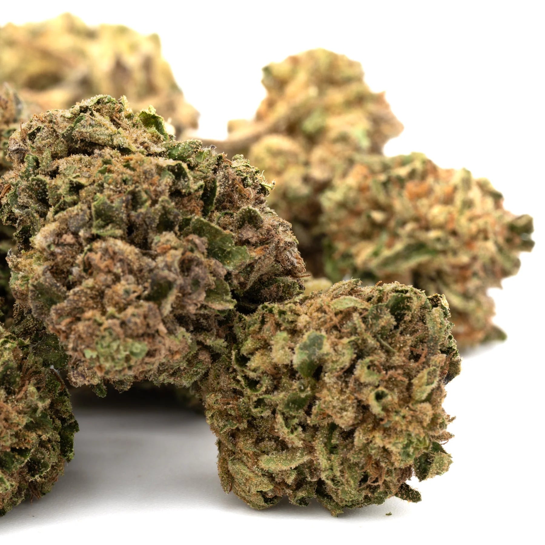 Alien Candy THCa Flower - Plants