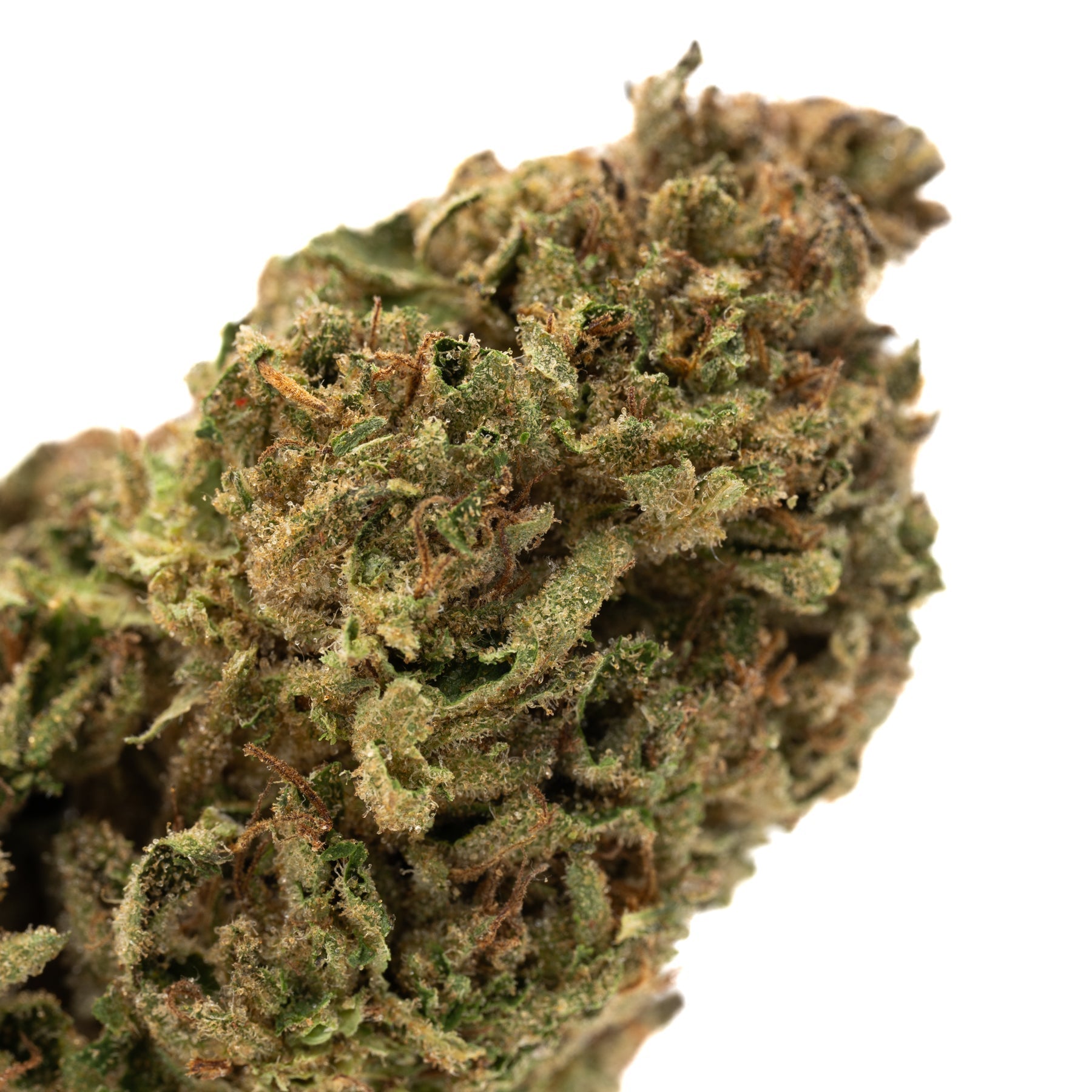 Alien Candy THCa Hemp Flower Wholesale - Plants