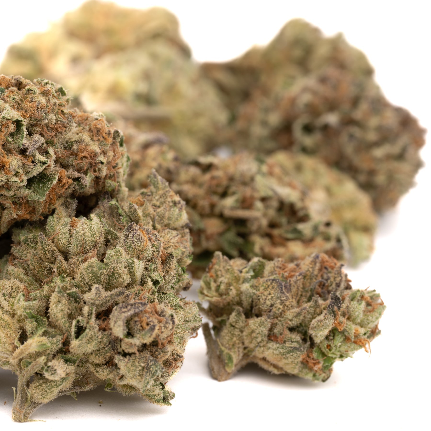 Ambrosia THCa Flower - Plants