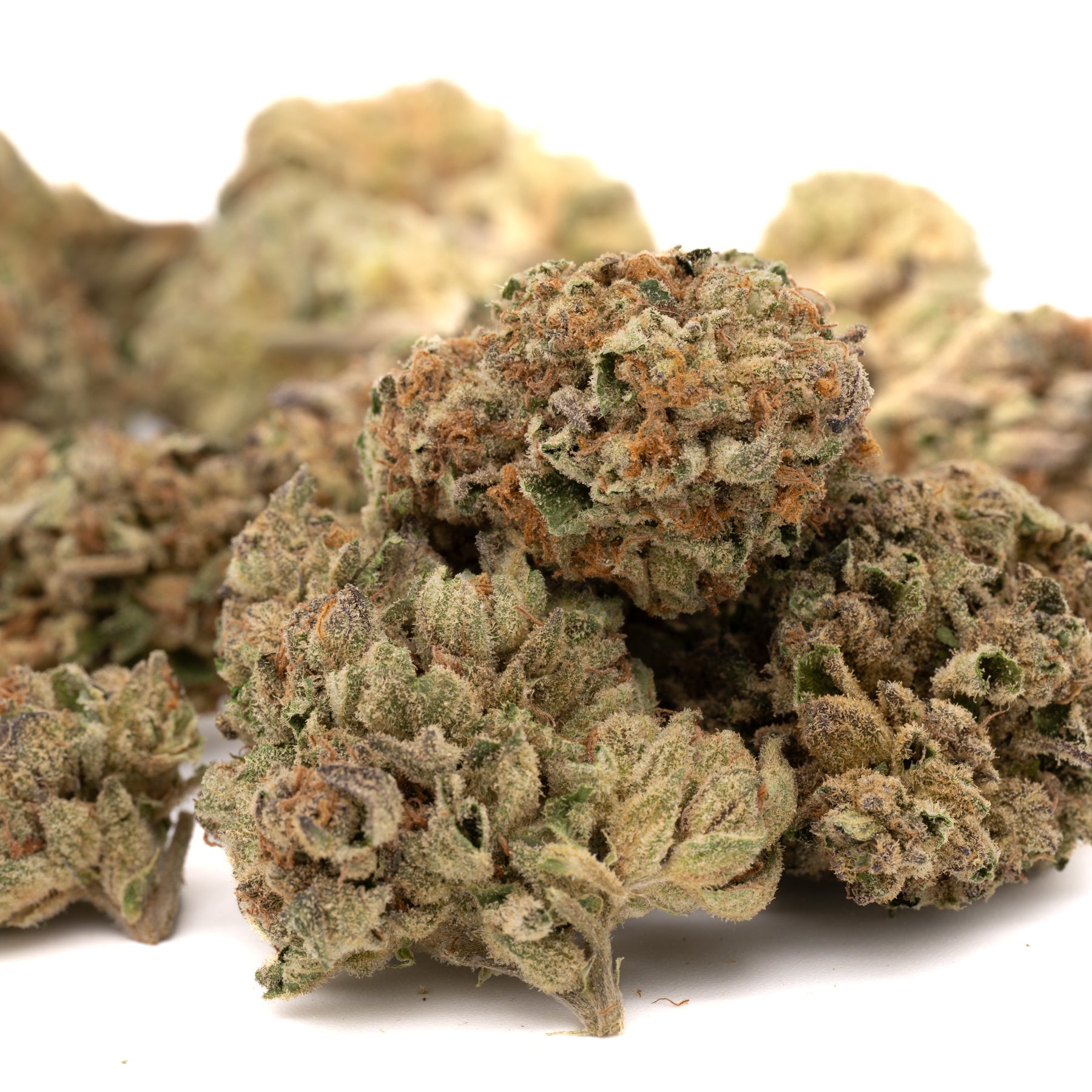 Ambrosia THCa Flower - Plants