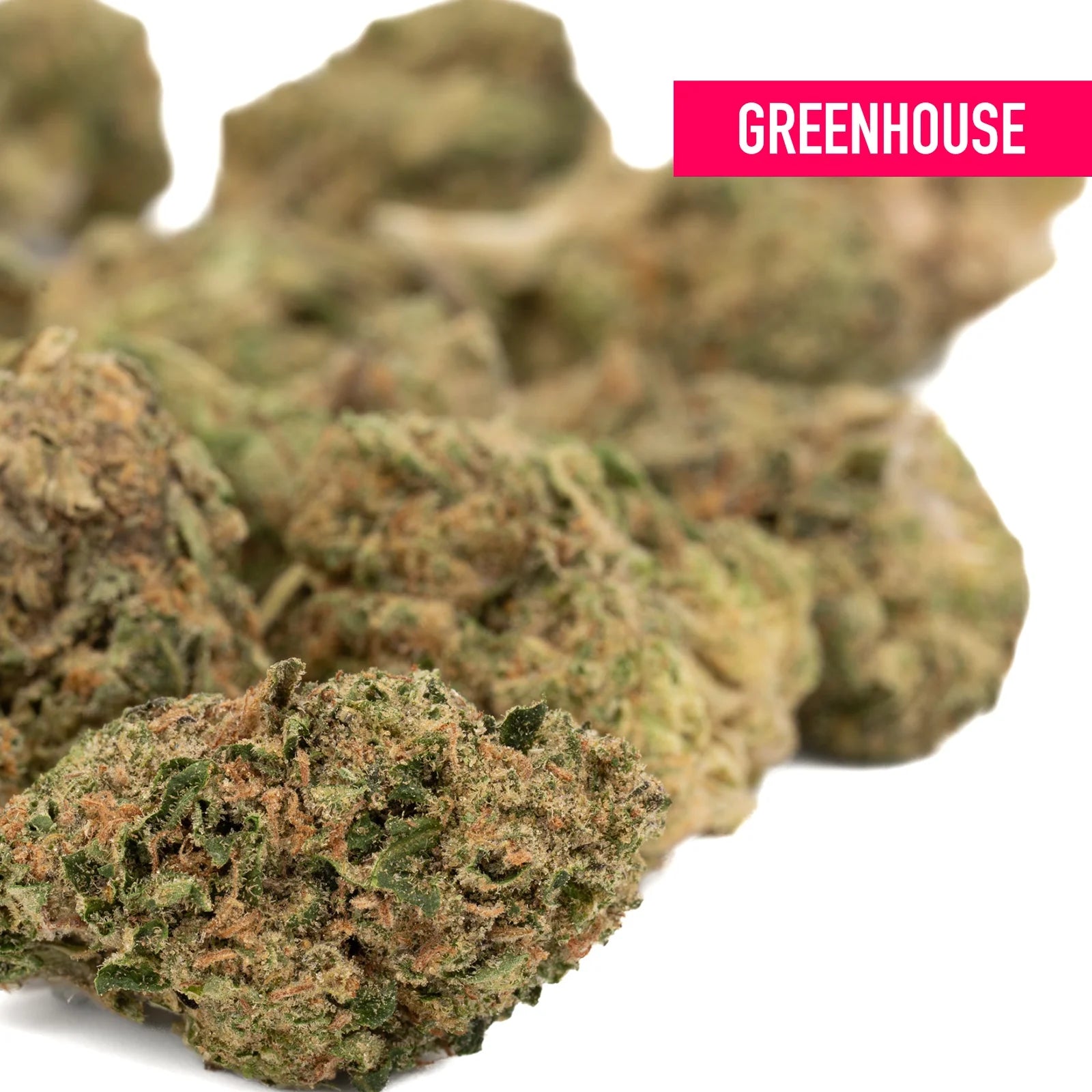 Greenhouse-grown cannabis buds with orange hairs from Apex THCa Hemp Flower Greenhouse Wholesale