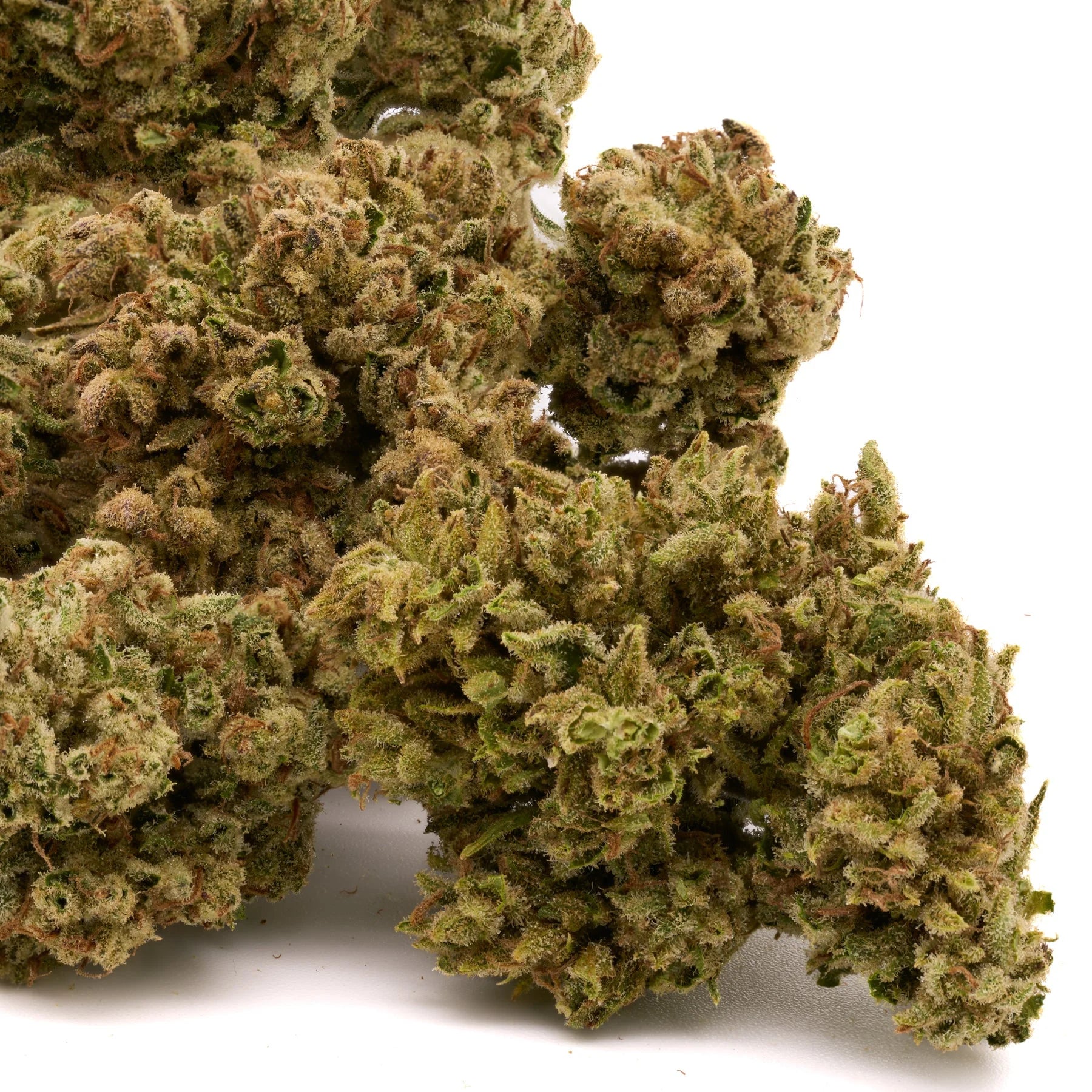 Apple Fritter THCa Flower - Plants