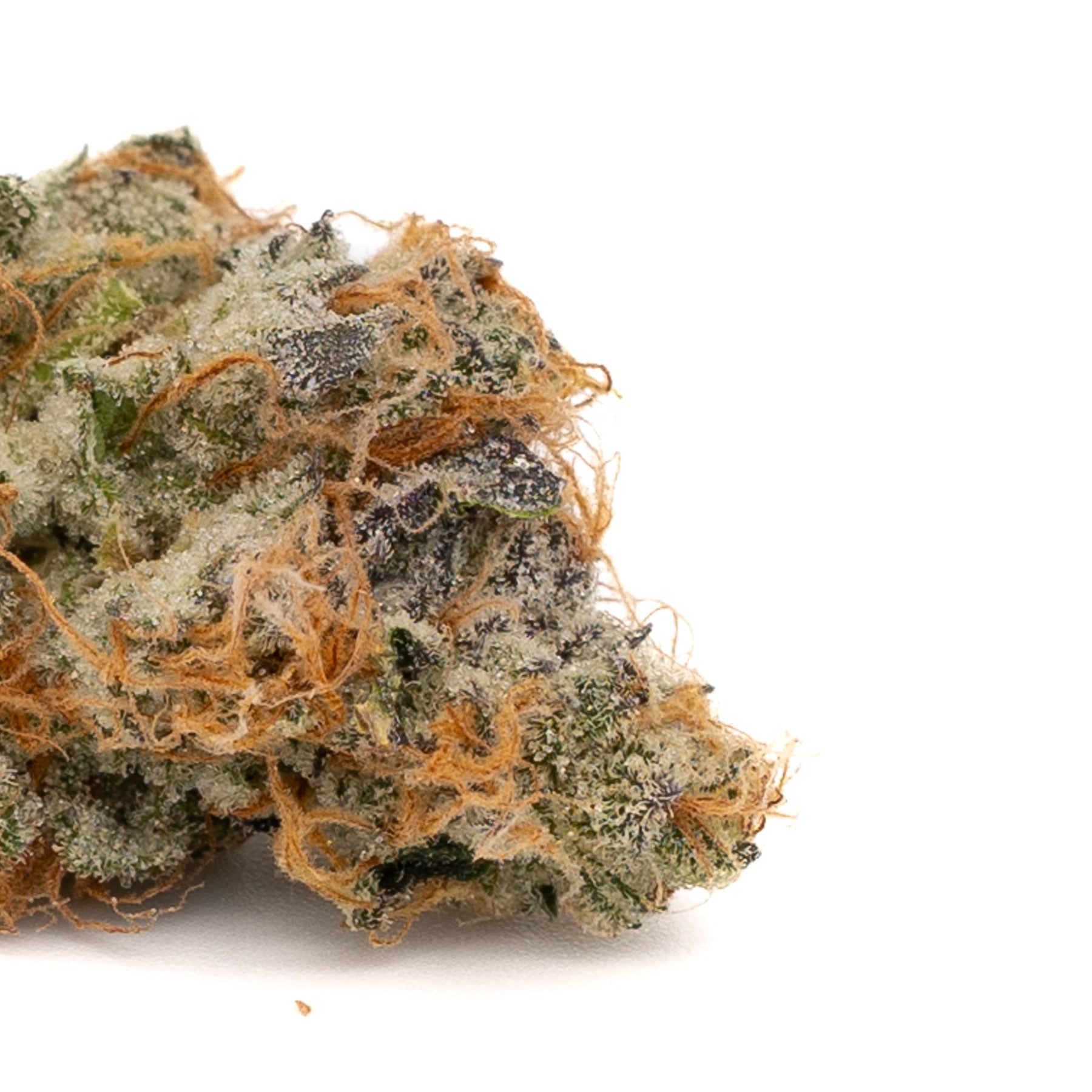 Apples and Bananas Indoor THCa Flower - 5g - Plants