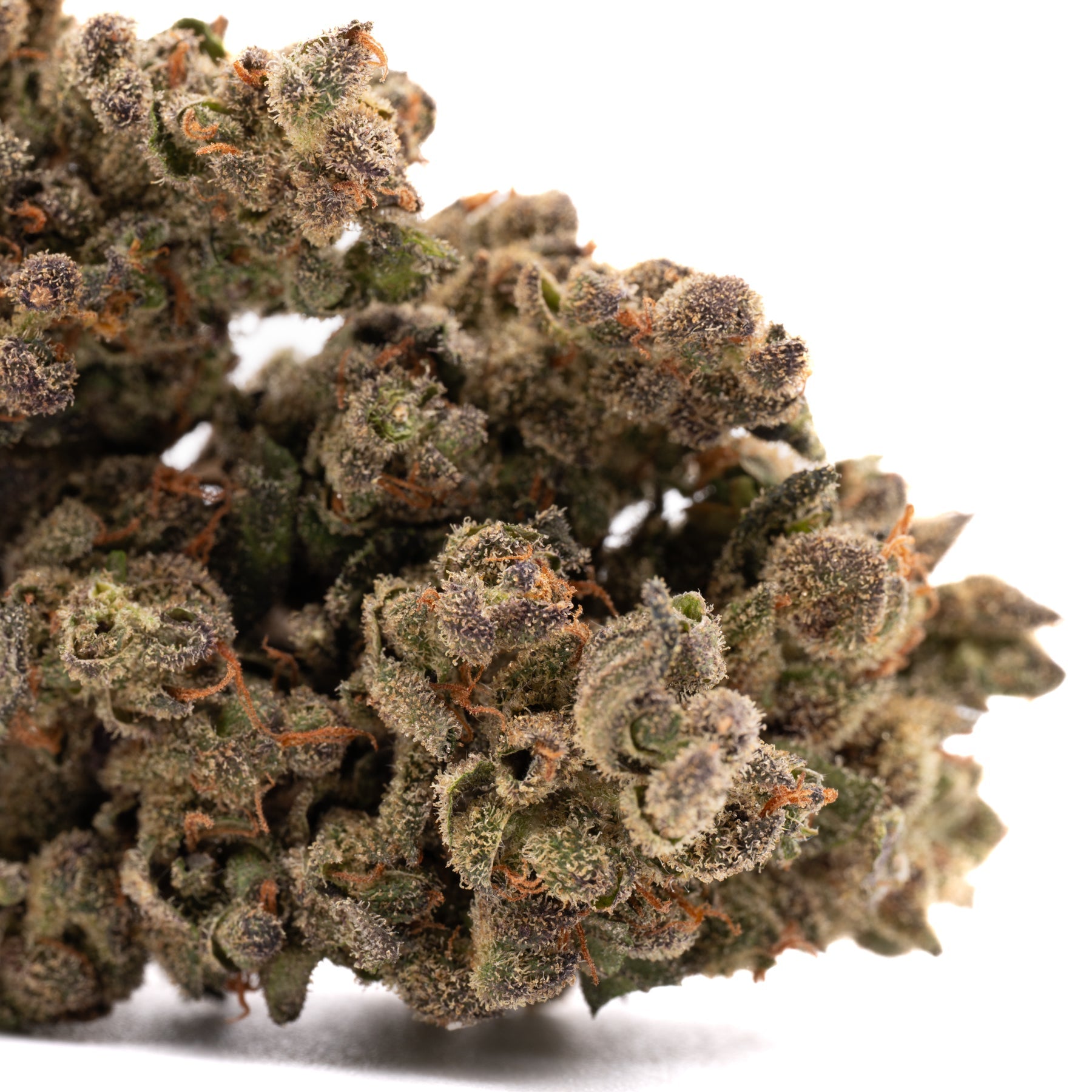 Dense apricot CBD hemp flower small buds with trichomes, orange pistils, and purple hues
