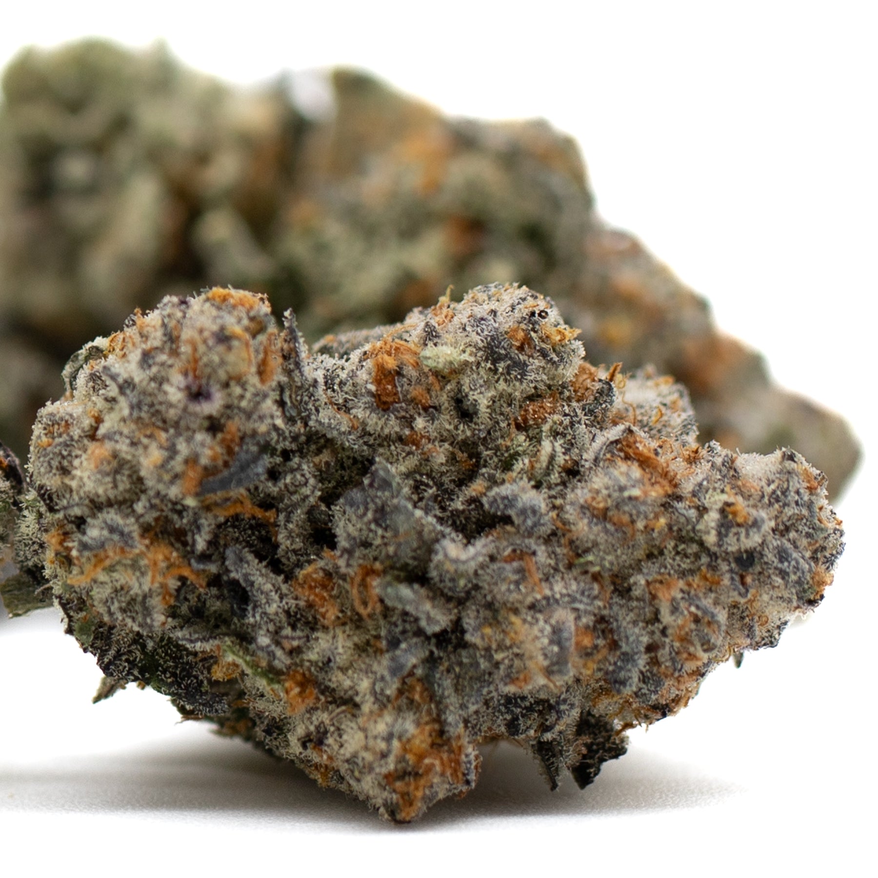 Astroboy Indoor THCA Flower Orchard Swirl Ortega x Cinderella cannabis bud with trichomes