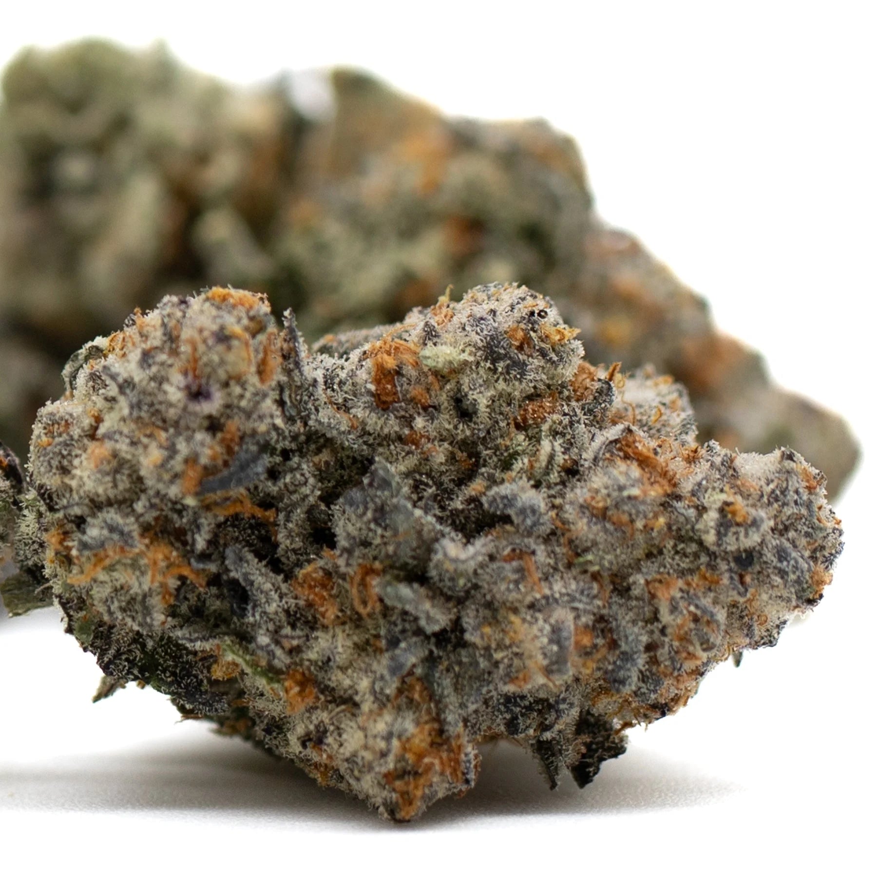 Astroboy Indoor THCA Flower Orchard Swirl Ortega x Cinderella cannabis bud with trichomes