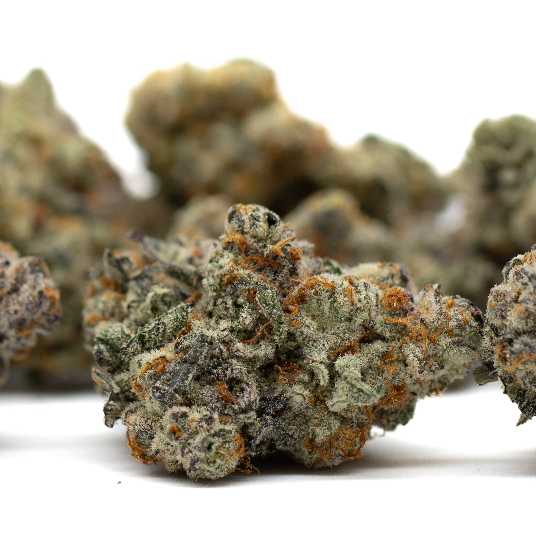 Astroboy Indoor THCa Flower with orchard swirl cannabis buds, orange hairs, and frosty trichomes