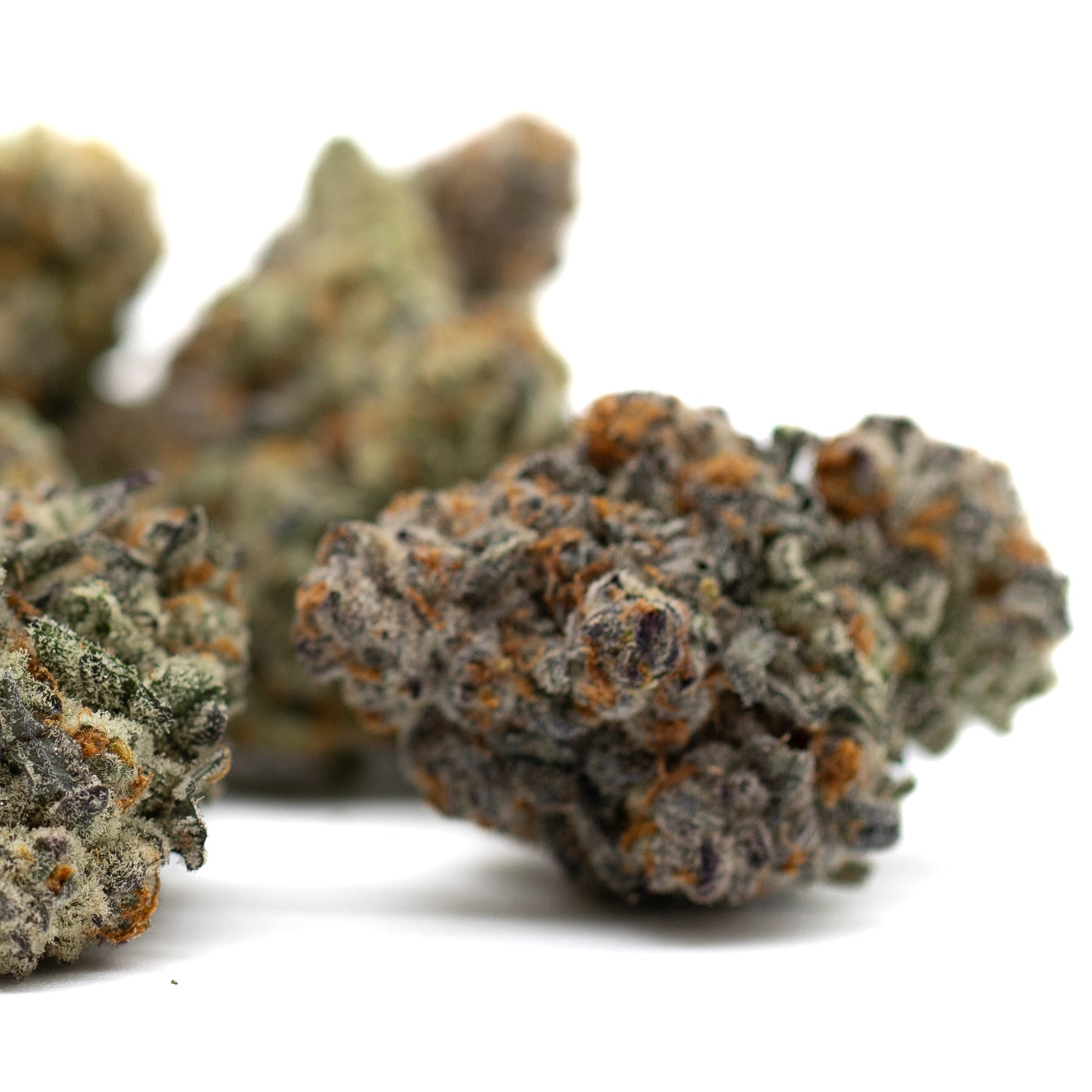 Astroboy Indoor THCa Flower with dark trichome-rich cannabis buds and orange pistils