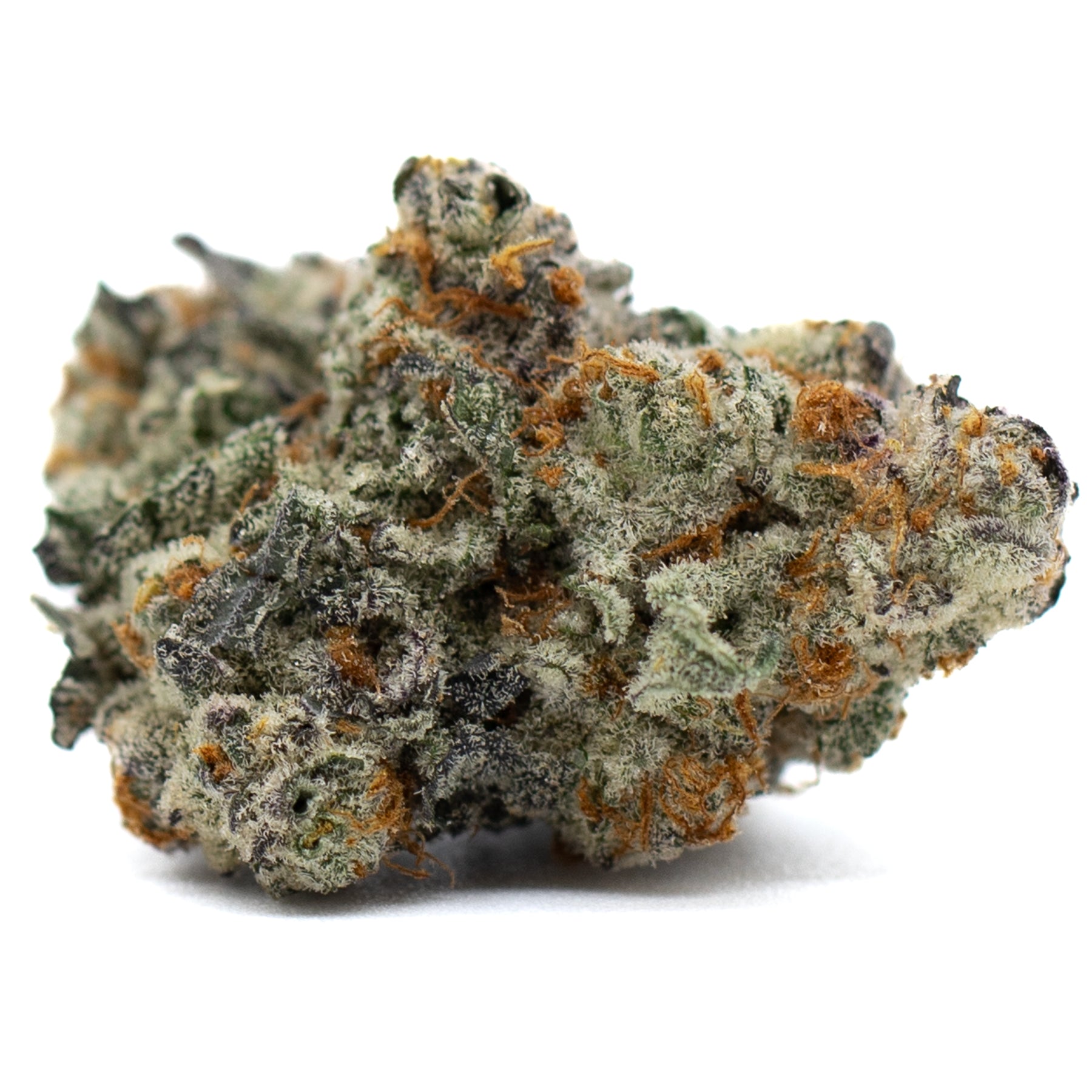 Astroboy Indoor THCA Flower Orchard Swirl Ortega x Cinderella cannabis bud with orange pistils