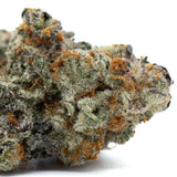 Astroboy Indoor THCA Flower with trichome-rich bud, orange pistils, dark green leaves