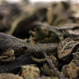 Dried cannabis flower and leaves from Astroboy Indoor Trim Wholesale 1LB for euphoric head effects