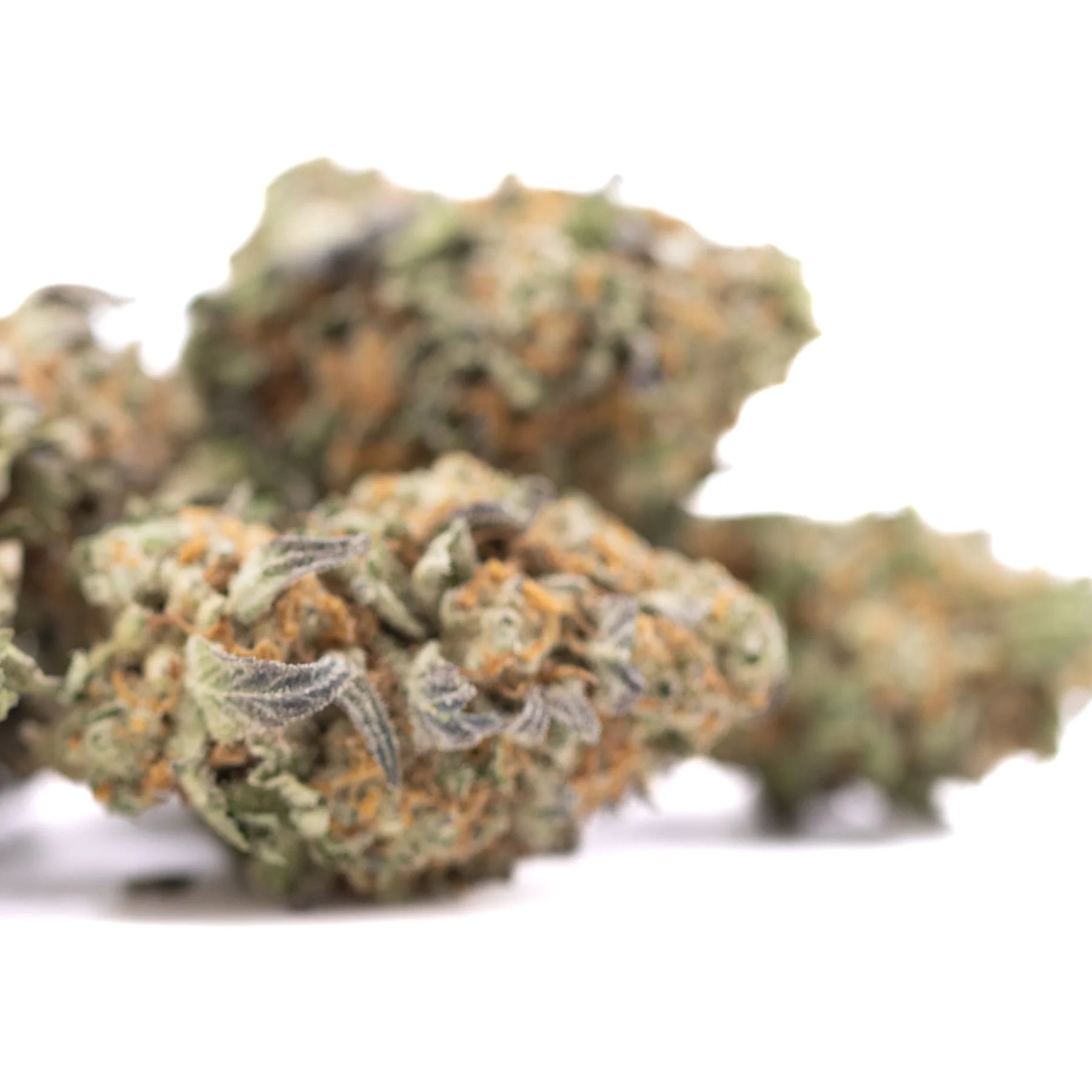 A dense green and orange astroboy greenhouse cannabis bud with frosty white trichomes showcasing thca concentration