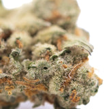 A dense frosty astroboy thca hemp flower bud with green and orange hues showcasing terpene expression from greenhouse cultivation