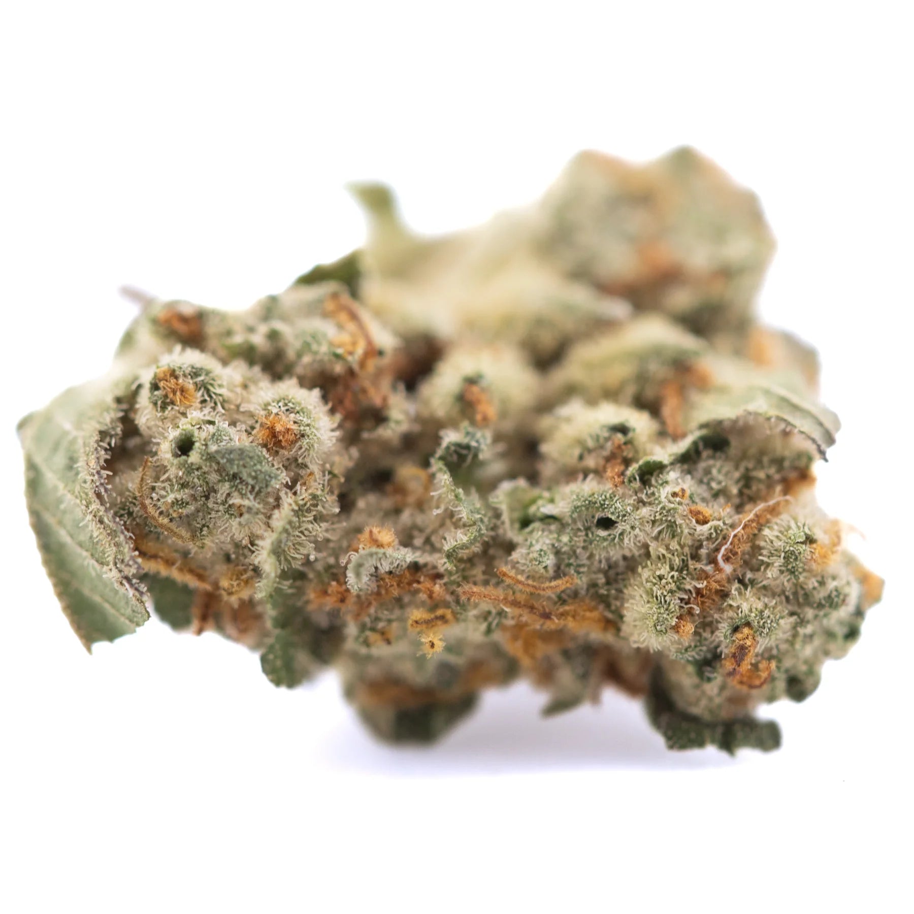 A dense green and orange astroboy thca hemp flower bud with frosty trichomes showcasing terpene expression from greenhouse cultivation