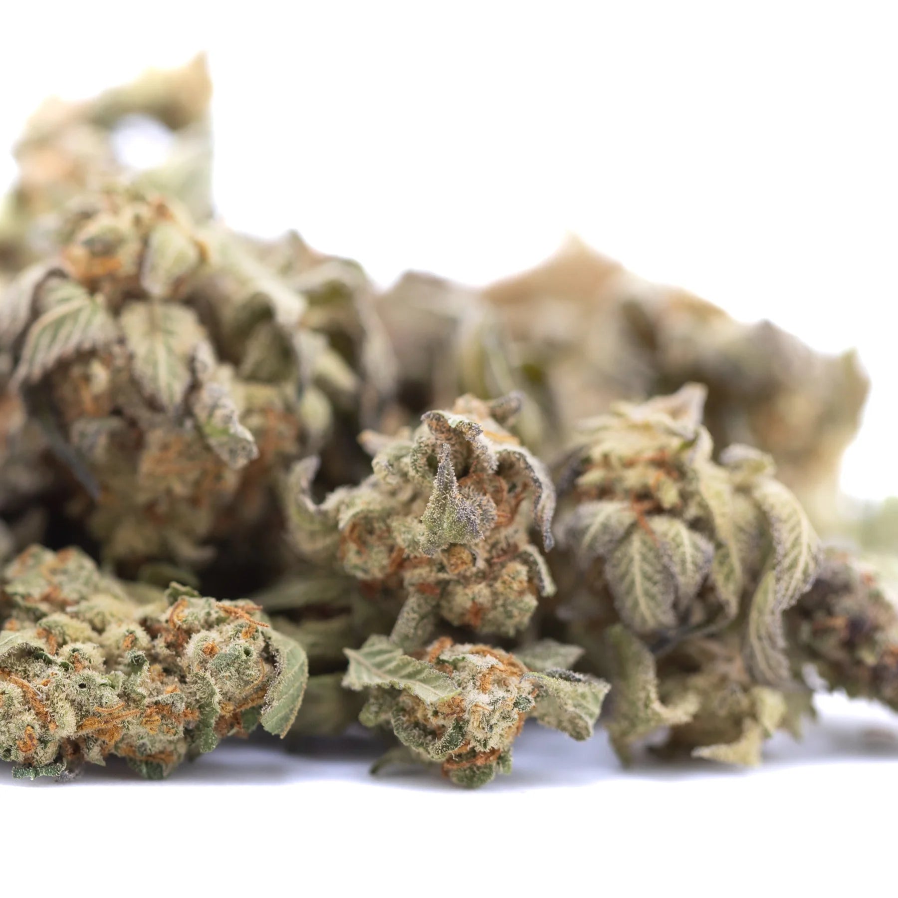 Dried astroboy thca hemp flower greenhouse smalls with dense frosty texture and greenish brown hues showcasing terpene expression