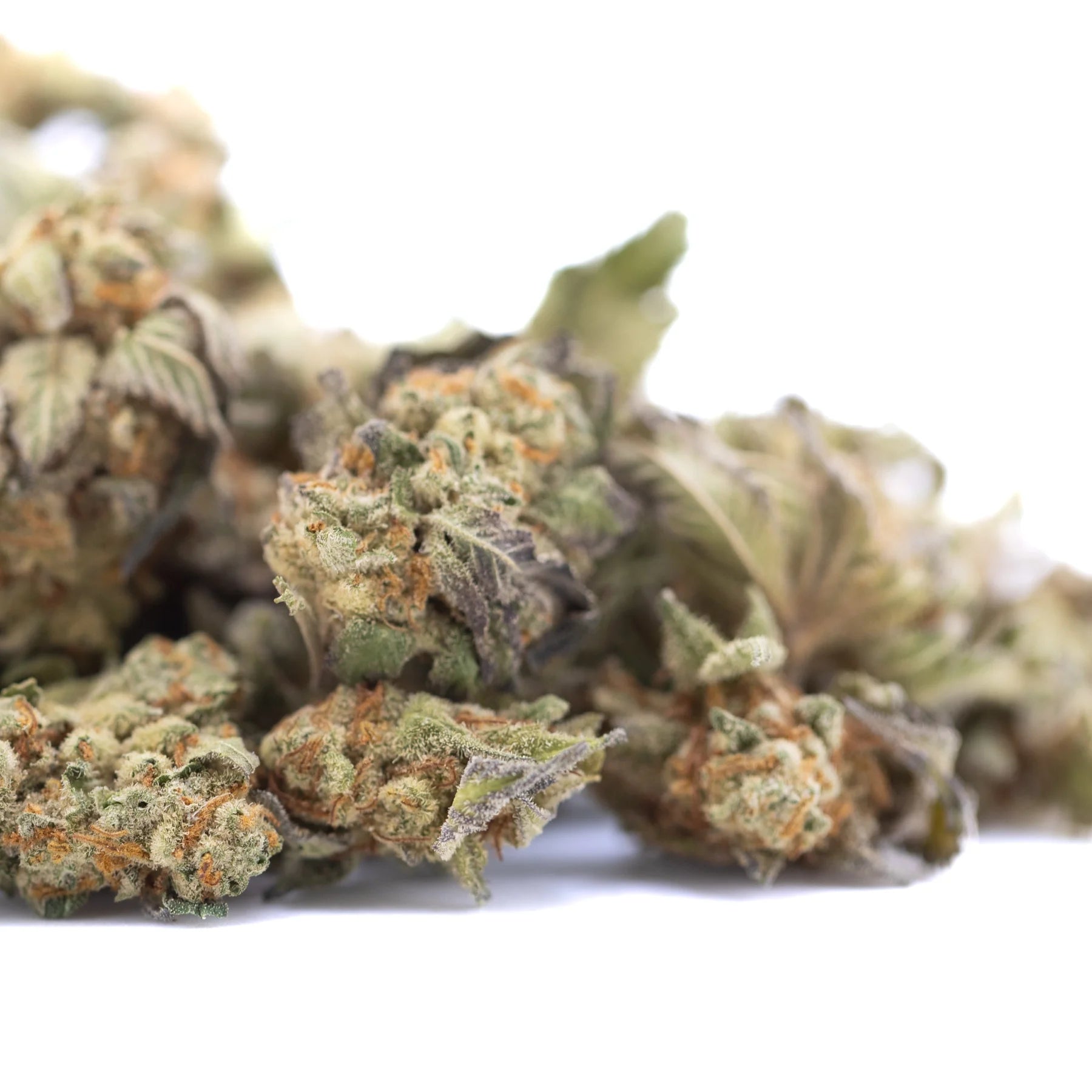 Dried astroboy thca hemp flower greenhouse smalls with green purple and orange hues and rich terpene expression