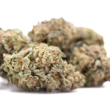 A dense green astroboy thca hemp flower with frosty trichomes and orange pistils featuring ortega x cinderella traits
