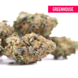 Astroboy thca hemp flower by greenhouse features dense green and orange buds with sweet buttery ortega x cinderella traits