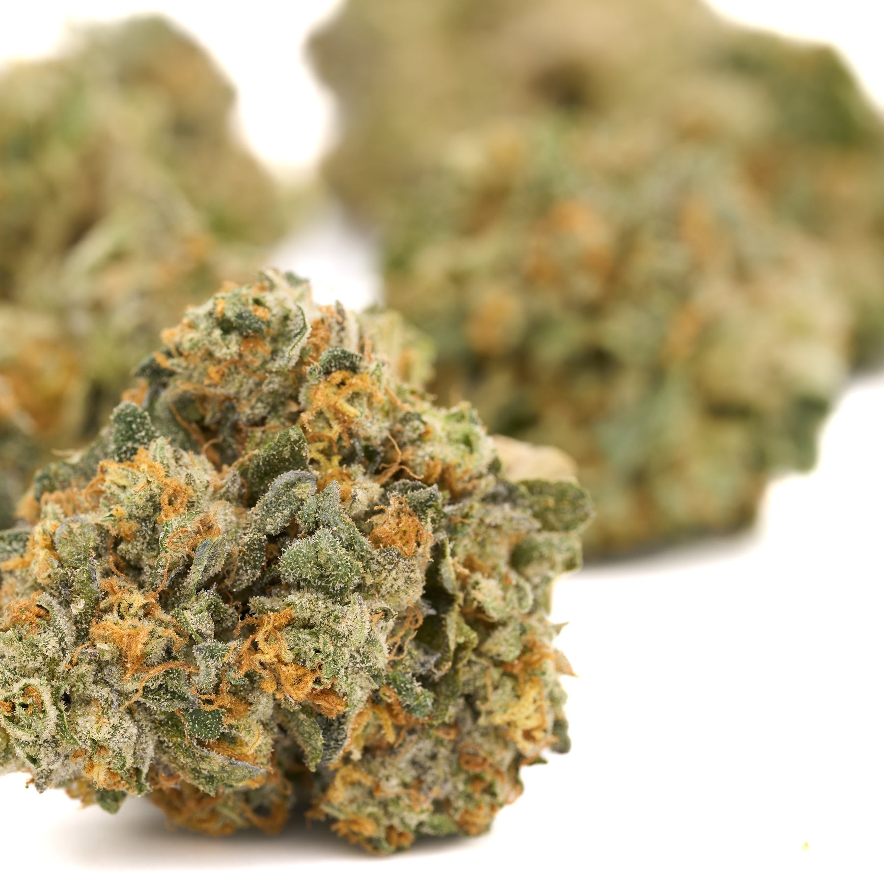 Bacio Gelato Indoor THCa Flower - Plants