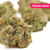 Bacio Gelato Indoor THCa Flower Wholesale - Plants