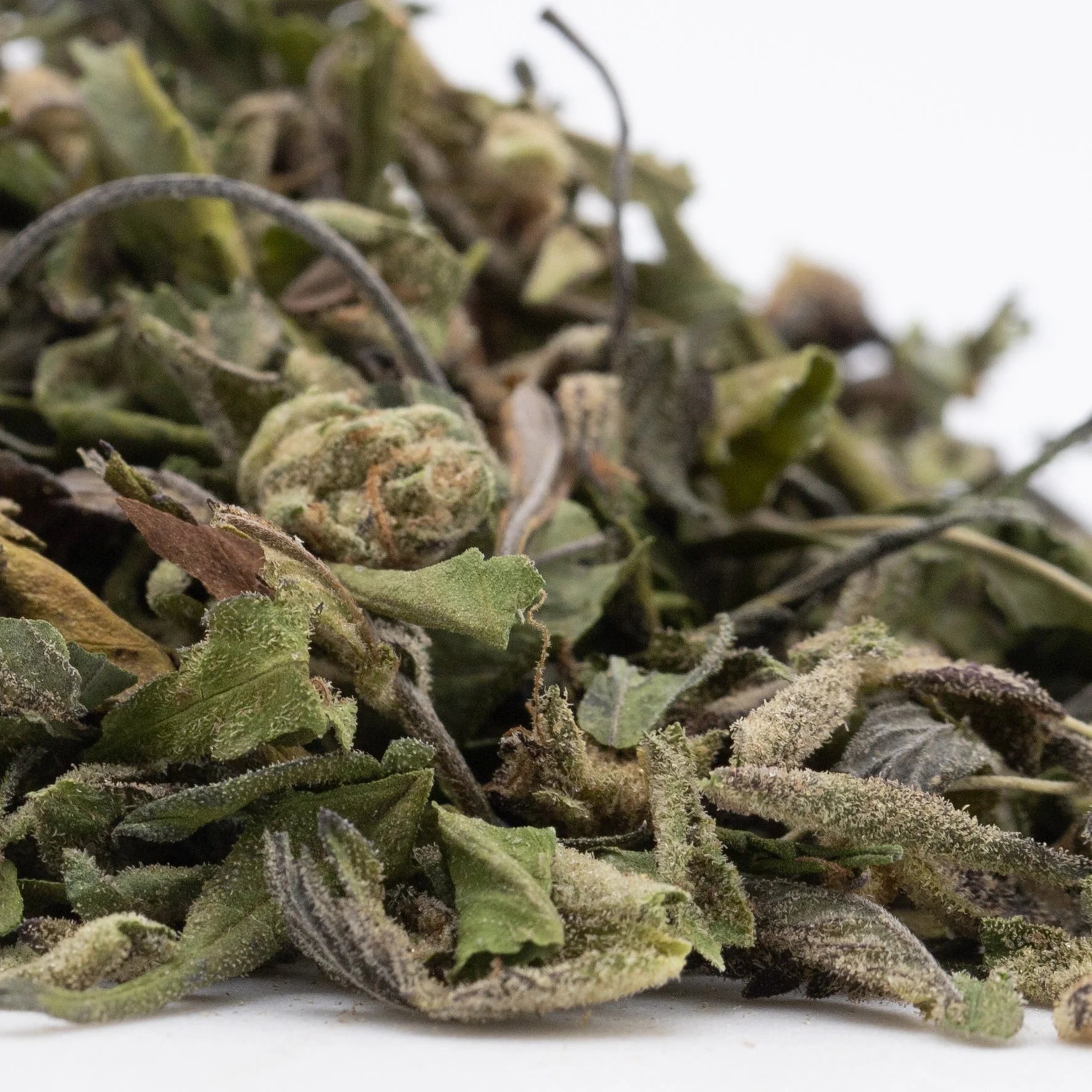 Dried green and brown bahama bussdown greenhouse thca hemp flower trim with visible trichomes for wholesale use