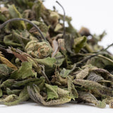Dried green and brown bahama bussdown greenhouse thca hemp flower trim with visible trichomes for wholesale use