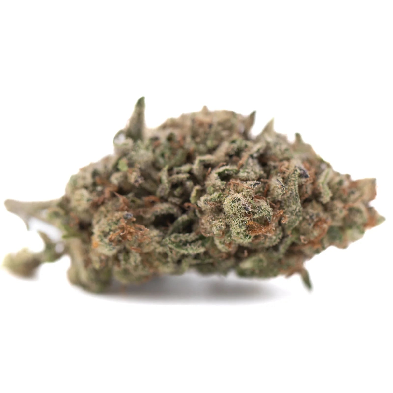 A dense green and brown bahama bussdown hemp flower bud covered in trichomes from greenhouse thca quality
