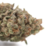 Dense textured bahama bussdown hemp flower greenhouse thca bud with green and brown hues