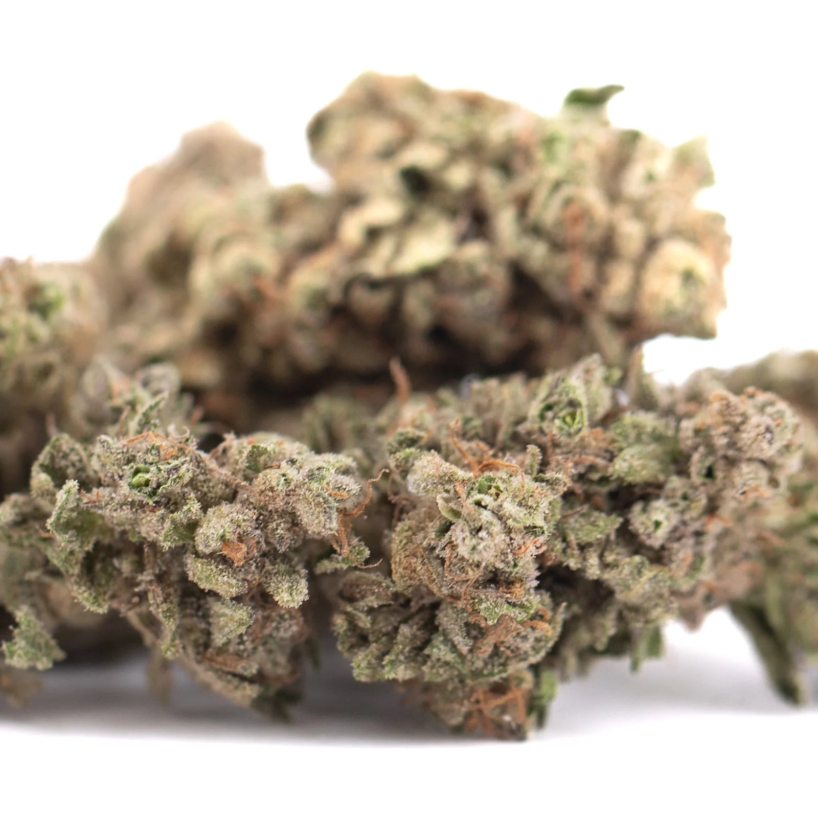 A dense bahama bussdown hemp flower bud with green and brown hues covered in fine trichomes from greenhouse thca