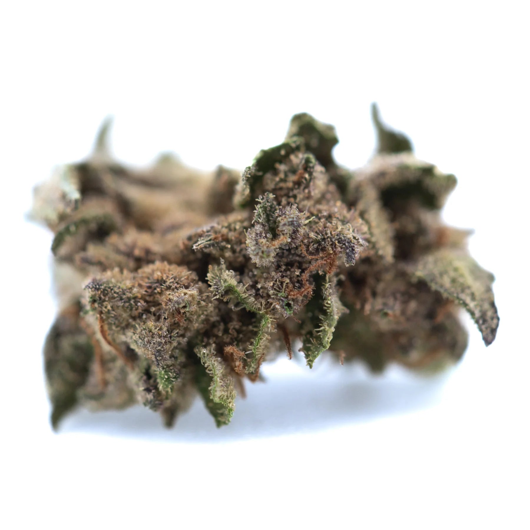 A dense bahama bussdown’s thca small hemp flower bud with green and brown hues covered in fine trichomes