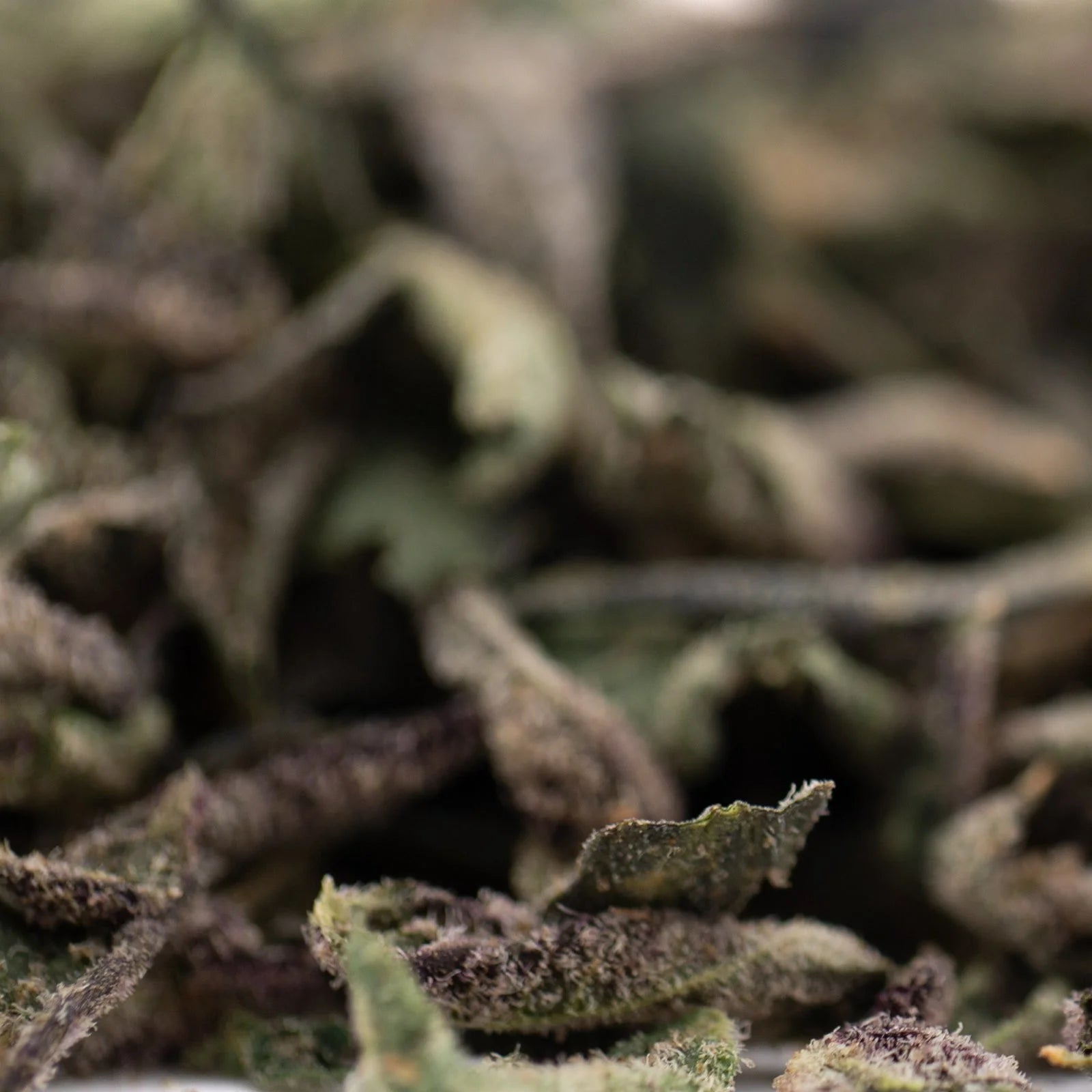 Banana Kush THCa trim: green leafy hemp flower buds with white trichomes