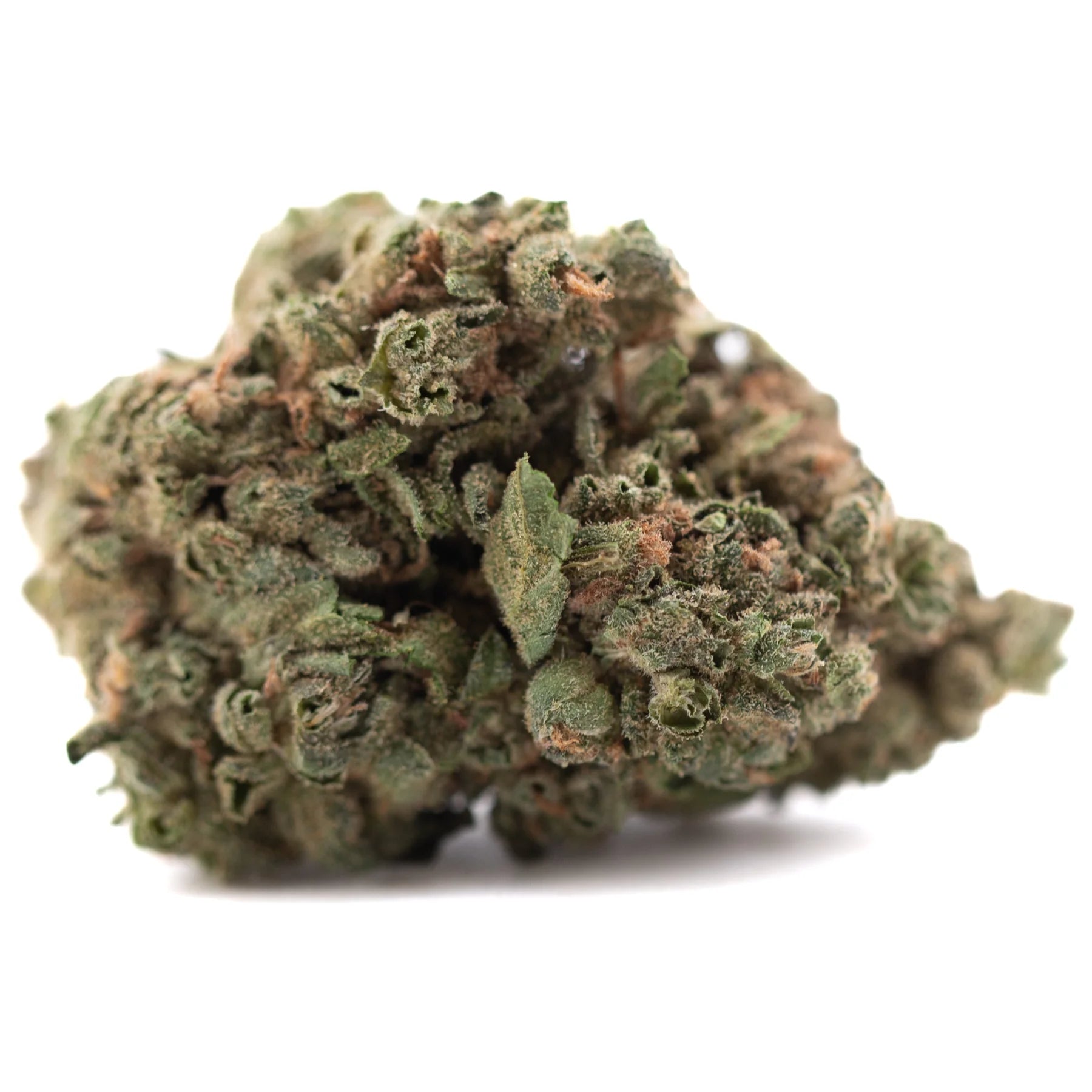 Banana og thca flower full-term wholesale dense green bud with trichomes and orange pistils legendary genetics exotic banana