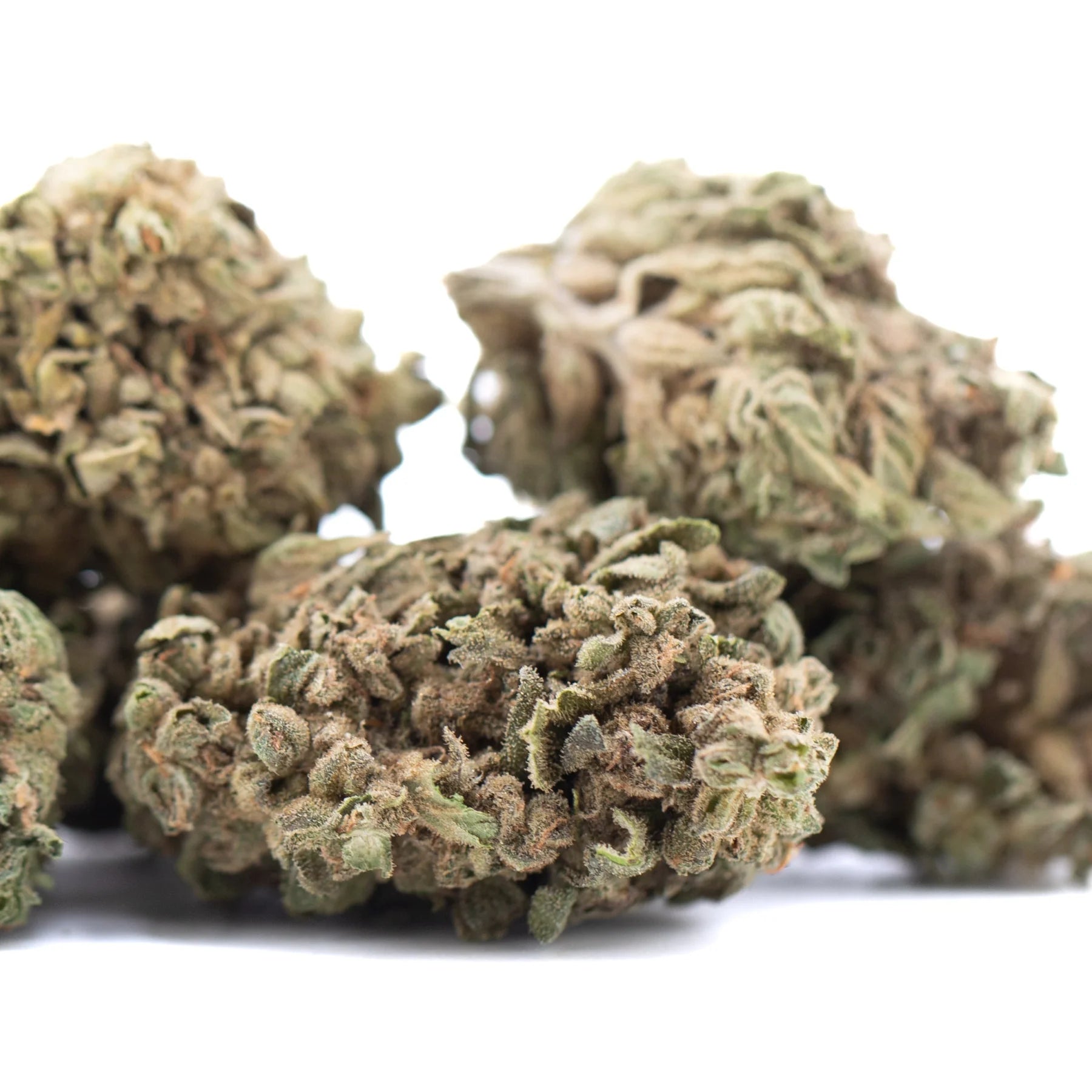 Dried banana og thca flower with dense trichomes and greenish brown hues showcasing legendary genetics for thca flower wholesale