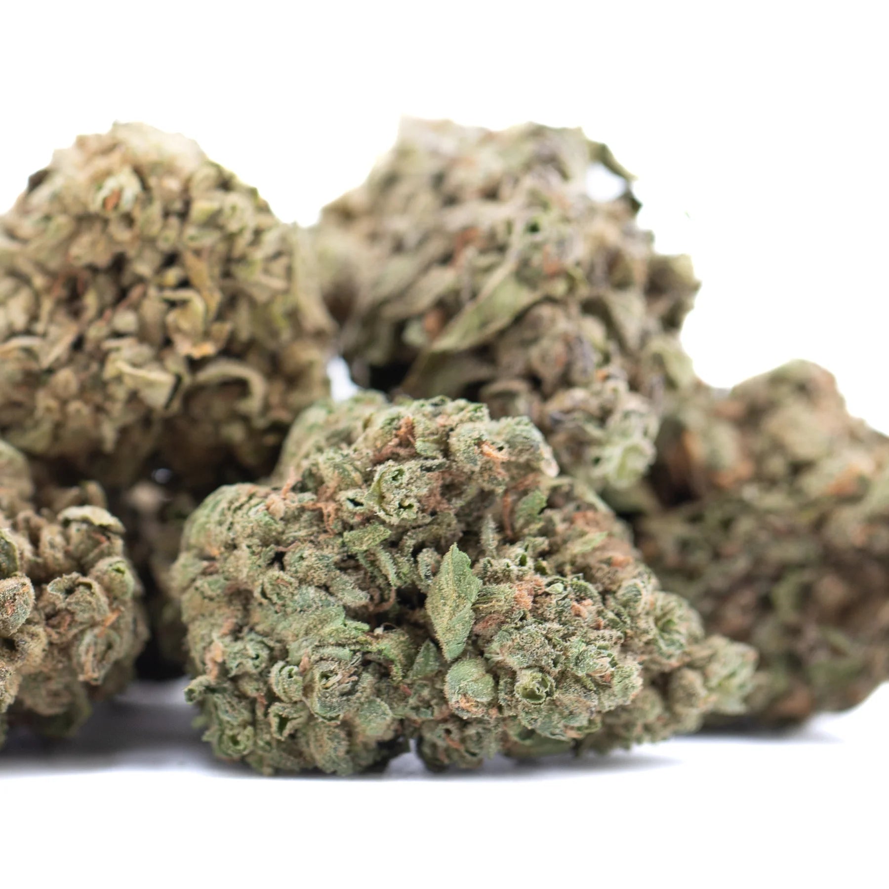 Dried banana og thca flower wholesale with dense texture and green brown hues from legendary genetics exotic banana