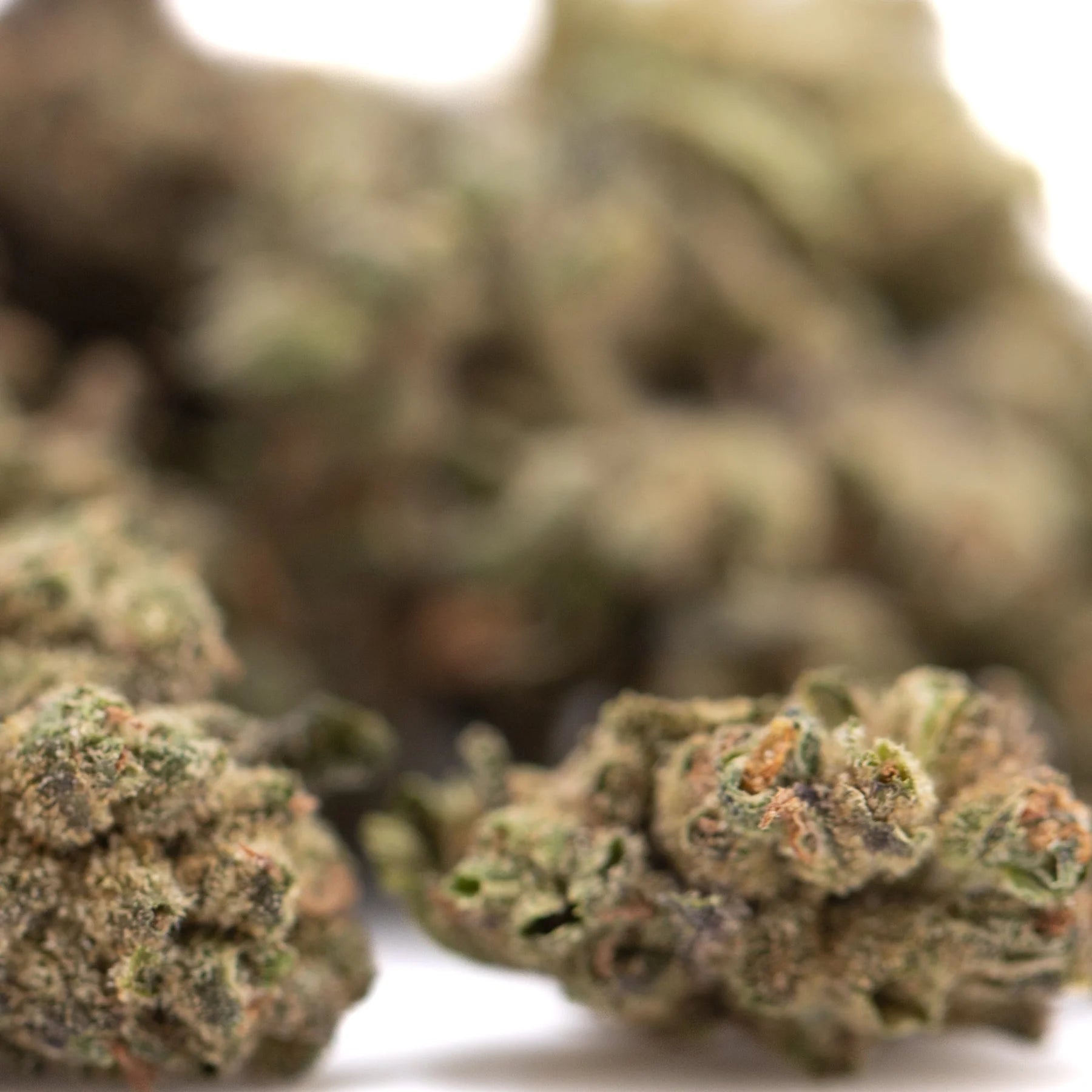 Dense green and orange-hued banana og’s full-term thca hemp flower buds with a textured surface in smalls size