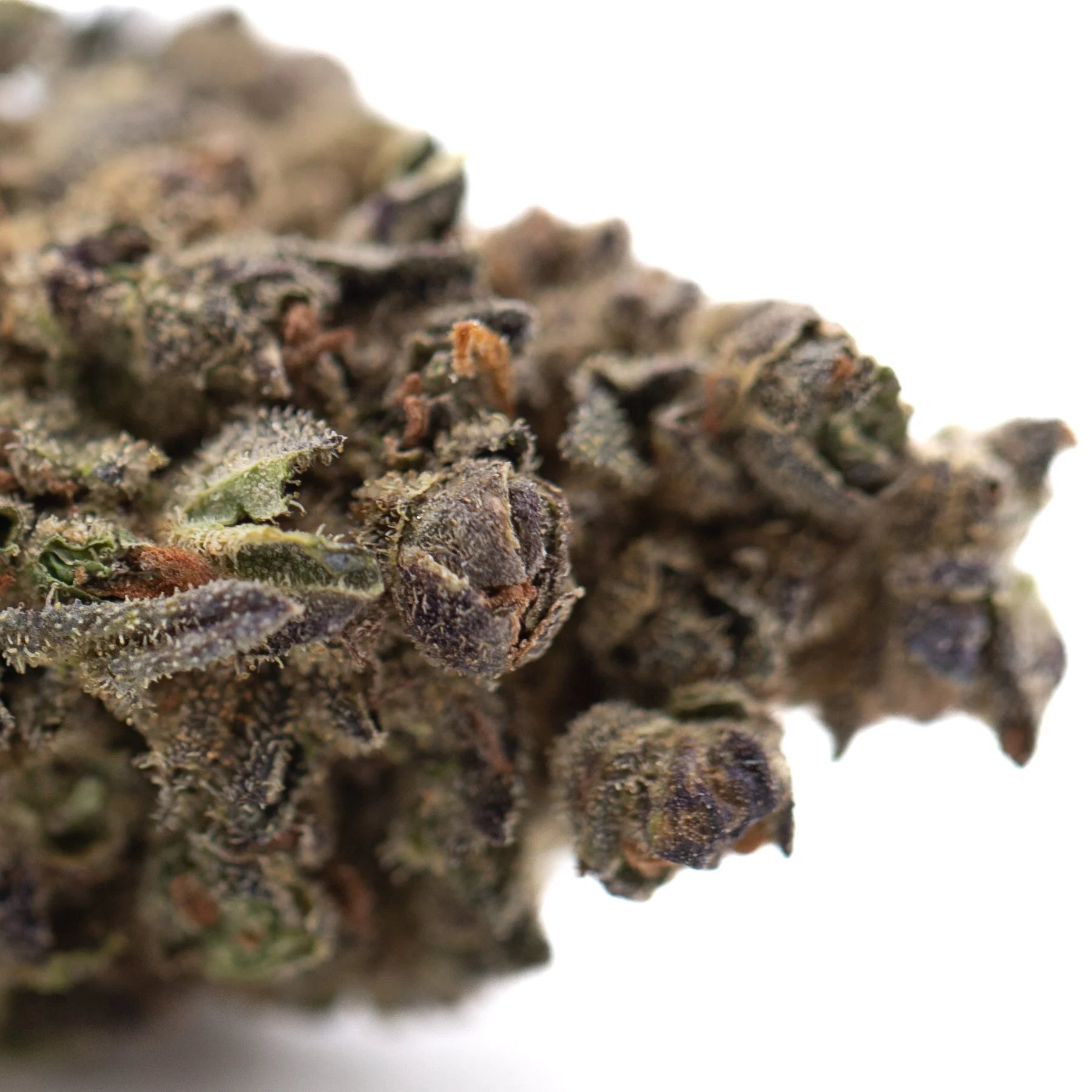 Dense resinous banjerine thca flower bud with green and purplish hues covered in trichomes for evening stress relief