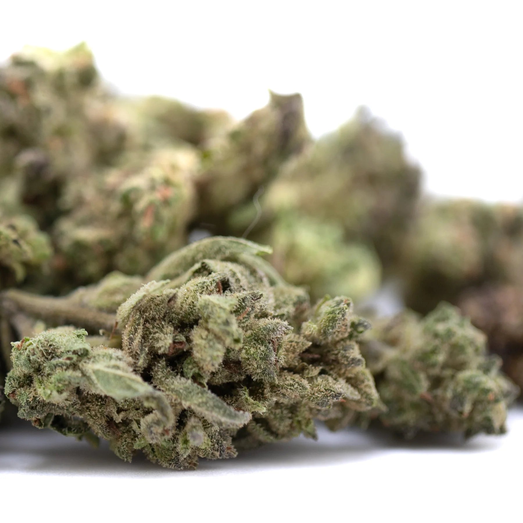 Banjerine thca flower smalls full-term ultra-premium citrus indica dense green bud with fine trichomes and purple hints