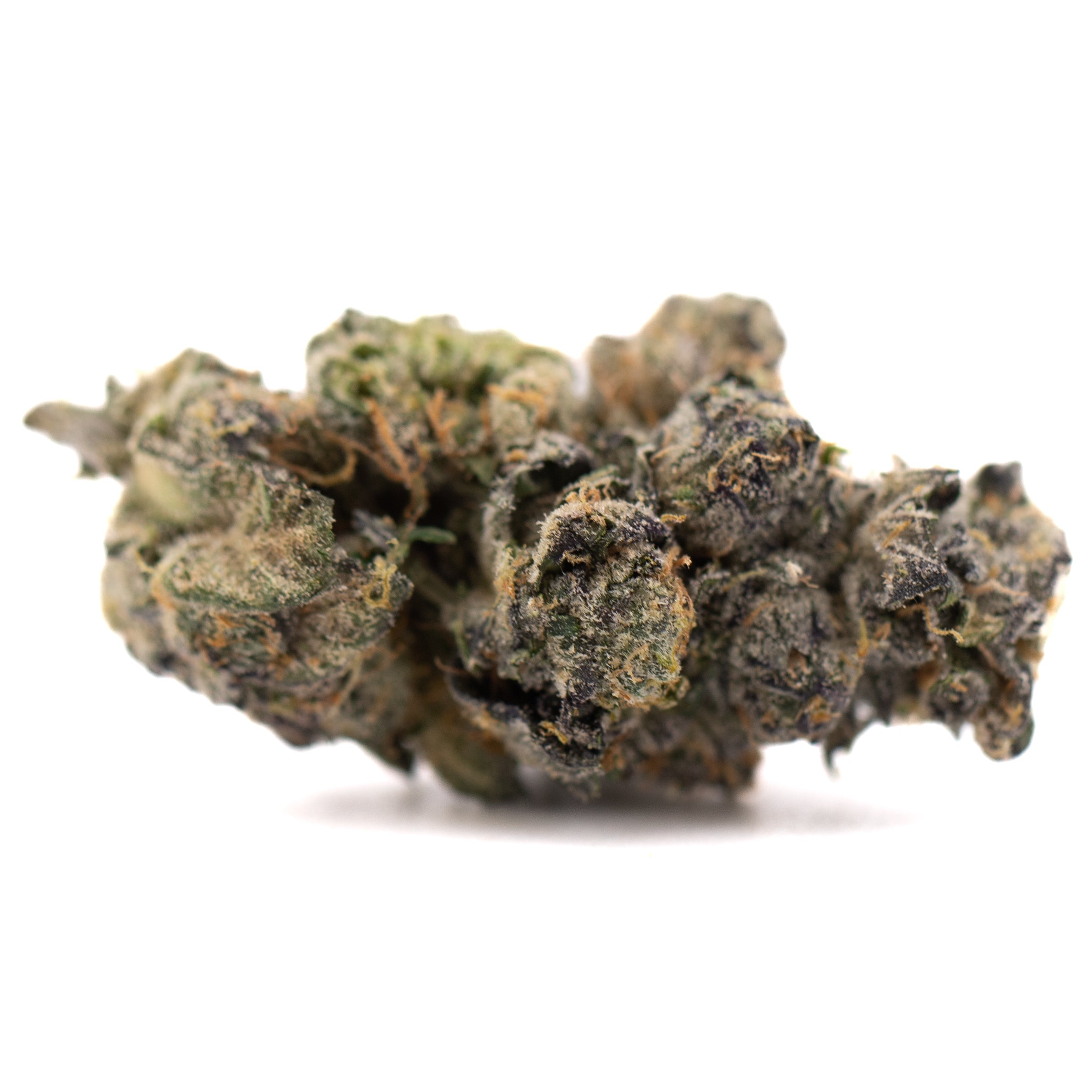 Berry Blast THCa hemp flower bud with green-purple hues and trichomes