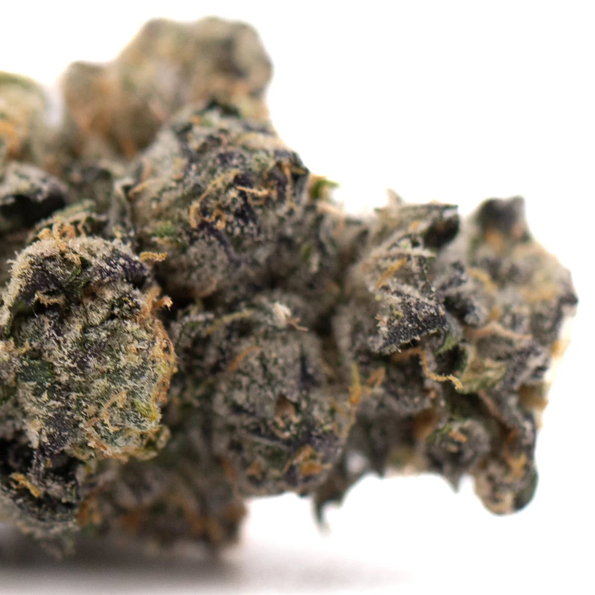 Berry Blast THCa hemp flower bud with green-purple hues and trichomes